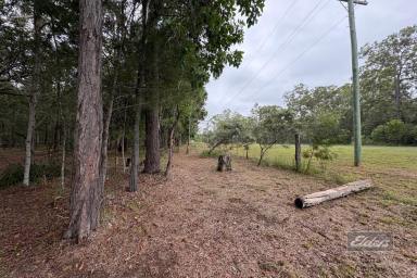 Residential Block For Sale - QLD - Bauple - 4650 - WHERE WATER, WILDERNESS & OPPORTUNITY MEET (Image 2)