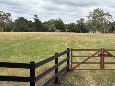 Residential Block For Sale - NSW - Bundanoon - 2578 - The Merrilee Estate: Your Private 5-Acre Sanctuary with Future Development Potential  (Image 2)