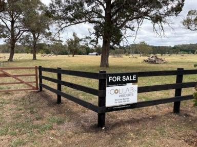 Residential Block For Sale - NSW - Bundanoon - 2578 - 5-Acre Allotments — Subdivisible Now  (Image 2)