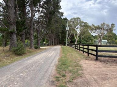 Residential Block For Sale - NSW - Bundanoon - 2578 - 5-Acre Allotments — Subdivisible Now  (Image 2)