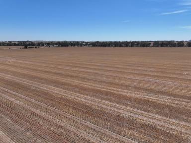 Mixed Farming For Sale - NSW - Colinroobie - 2700 - READY TO GO!  (Image 2)