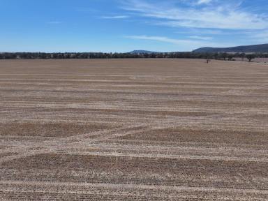 Mixed Farming For Sale - NSW - Colinroobie - 2700 - READY TO GO!  (Image 2)