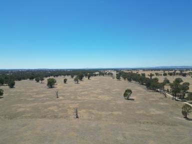 Mixed Farming For Sale - VIC - Norong - 3682 - Natural Beauty with Black Dog Creek – Norong, Victoria  (Image 2)