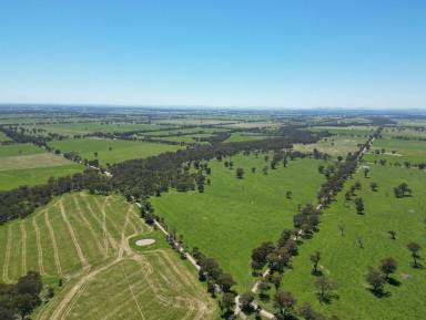 Mixed Farming For Sale - VIC - Norong - 3682 - Natural Beauty with Black Dog Creek – Norong, Victoria  (Image 2)