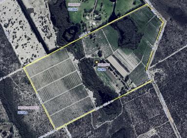 House For Sale - WA - Muckenburra - 6503 - 165 ACRES | 310ML WATER LICENSE | UNLIMITED HORTICULTURAL POTENTIAL  (Image 2)
