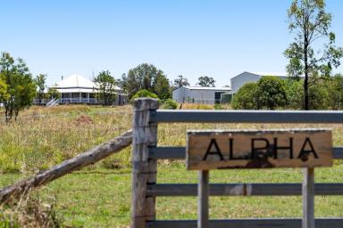Livestock For Sale - QLD - Peranga - 4352 - 'Alpha'  (Image 2)