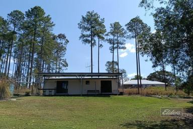 House For Sale - QLD - Glenwood - 4570 - TRANQUIL GLENWOOD HIDEAWAY WITH SPACE AND PRIVACY  (Image 2)