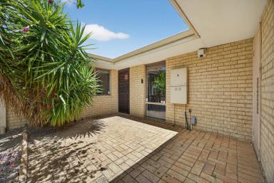 House For Sale - WA - Balcatta - 6021 - Prime Location, Low-Maintenance Living in Sought-After Balcatta  (Image 2)