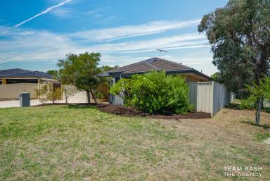 House For Sale - WA - Tapping - 6065 - Contemporary Family Living in a Quiet Tapping Cul-de-sac  (Image 2)