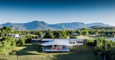 House For Sale - QLD - Cardwell - 4849 - TOURISM ZONING -  BEACH FRONT PROPERTY - 2,375sqm  -  Location, locations, location!  (Image 2)