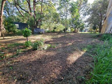 Residential Block For Sale - QLD - Macleay Island - 4184 - Quiet, Shady Street – Prime 817m² Block with Big 20.3m Frontage (Image 2)