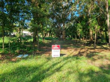 Residential Block For Sale - QLD - Macleay Island - 4184 - Exceptional Huge 918 m² Block with Rare 26.4 m Frontage, in a quiet shady street...Build your island retreat. (Image 2)