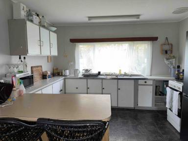 House Leased - TAS - Strahan - 7468 - Charming Family Home in Strahan TAS 7468  (Image 2)