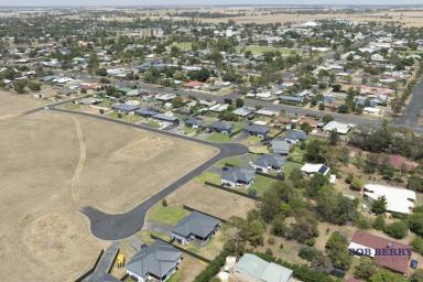 Residential Block For Sale - NSW - Narromine - 2821 - Spacious Block Near Macquarie River (Image 2)