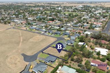 Residential Block For Sale - NSW - Narromine - 2821 - Spacious Block Near Macquarie River (Image 2)