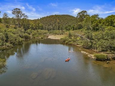 Lifestyle Auction - NSW - Bundook - 2422 - A Rare Weekender, Renovator's Dream & Unmatched Riverfront Escape (Image 2)