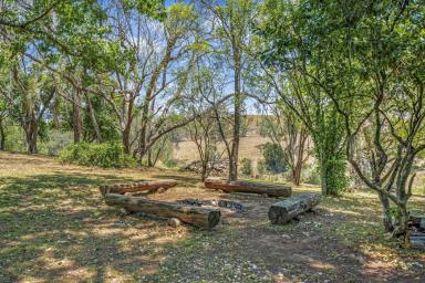 Lifestyle For Sale - NSW - Bundook - 2422 - A Rare Weekender, Renovator's Dream & Unmatched Riverfront Escape  (Image 2)