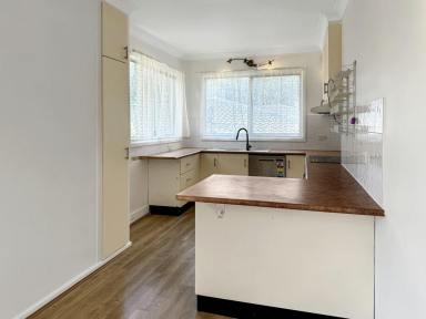 House For Sale - NSW - Young - 2594 - Family Home on a Generous Block  (Image 2)