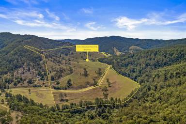 Lifestyle Auction - NSW - Bowman - 2422 - A Lifestyle Sanctuary on Productive Bowman River Country  (Image 2)