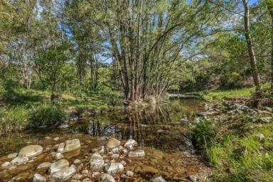 Lifestyle Auction - NSW - Bowman - 2422 - A Lifestyle Sanctuary on Productive Bowman River Country  (Image 2)