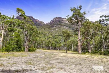 Residential Block For Sale - VIC - Halls Gap - 3381 - Prime Halls Gap Land with Views, Permits & Potential  (Image 2)