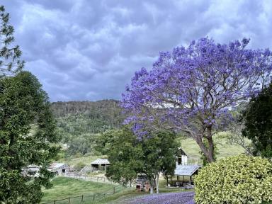 House For Sale - QLD - Cedar Creek - 4520 - Historic Queenslander on 15.5 Acres!  (Image 2)