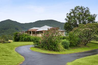 House For Sale - QLD - Cedar Creek - 4520 - Historic Queenslander on 15.5 Acres!  (Image 2)