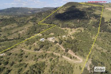 Acreage/Semi-rural For Sale - QLD - Ingoldsby - 4343 - REGENERATIVE FARM WITH MULTIPLE INCOME STREAMS & EXCEPTIONAL WATER SECURITY.  (Image 2)