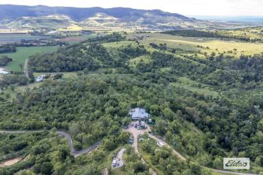 Acreage/Semi-rural For Sale - QLD - Ingoldsby - 4343 - REGENERATIVE FARM WITH MULTIPLE INCOME STREAMS & EXCEPTIONAL WATER SECURITY.  (Image 2)