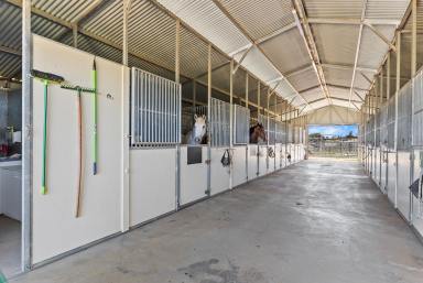 Lifestyle For Sale - NSW - Yass - 2582 - First-class Equine Facility  (Image 2)