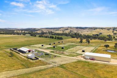 Lifestyle For Sale - NSW - Yass - 2582 - First-class Equine Facility  (Image 2)