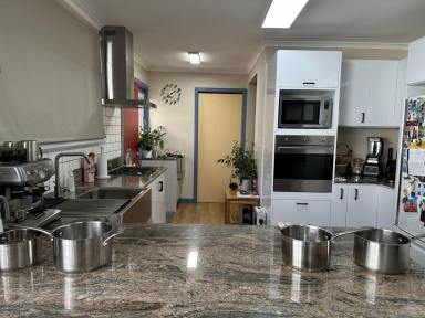 House For Sale - TAS - Berriedale - 7011 - Hidden gem in Berriedale ( under offer ) (Image 2)