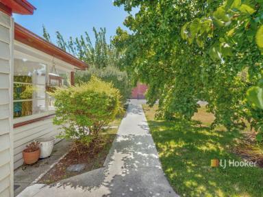 House For Sale - TAS - Latrobe - 7307 - Live Well, Work Beautifully Here  (Image 2)