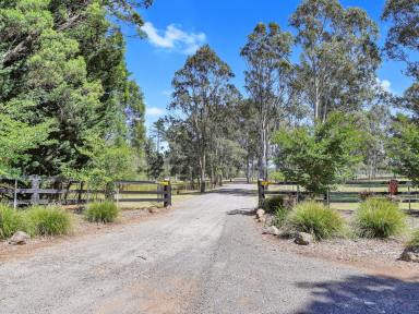 Mixed Farming For Sale - NSW - Tallong - 2579 - Tranquil 145‑Acre Rural Escape – Minutes from Tallong Village  (Image 2)