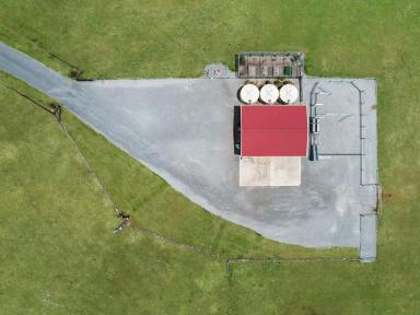 Mixed Farming For Sale - NSW - Tallong - 2579 - Tranquil 145‑Acre Rural Escape – Minutes from Tallong Village  (Image 2)