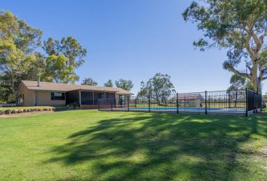 House For Sale - NSW - Moree - 2400 - "Kanangra" - Fully Renovated Lifestyle Living Minutes from Moree  (Image 2)