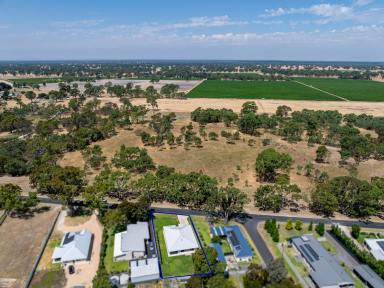 House For Sale - SA - Penola - 5277 - Modern Luxury Meets Tranquil Rural Outlook – A Standout New Build in Penola  (Image 2)
