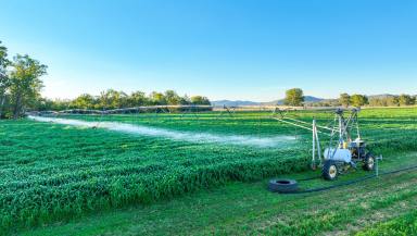 Lifestyle For Sale - NSW - Tamworth - 2340 - A SEAMLESS BLEND OF PRODUCTION AND LIFESTYLE  (Image 2)