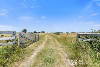 Lifestyle For Sale - VIC - Pearcedale - 3912 - THE HOBBY FARM YOU HAVE BEEN SEARCHING FOR…  (Image 2)