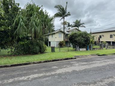 House For Sale - QLD - Tully - 4854 - Large Timber Home on Corner Block  (Image 2)