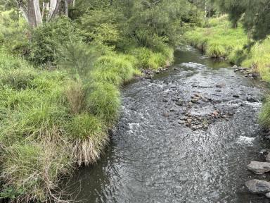 Mixed Farming For Sale - NSW - Kyogle - 2474 - LUSH & GREEN WITH MOUNTAIN VIEWS (Image 2)