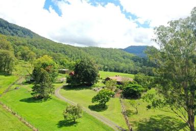 Mixed Farming For Sale - NSW - Kyogle - 2474 - “WINNABURRA” LYNCHS CREEK via KYOGLE NSW  (Image 2)