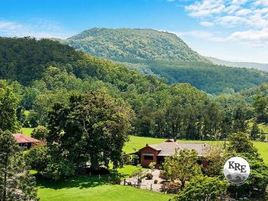 Mixed Farming For Sale - NSW - Kyogle - 2474 - “WINNABURRA” LYNCHS CREEK via KYOGLE NSW (Image 2)