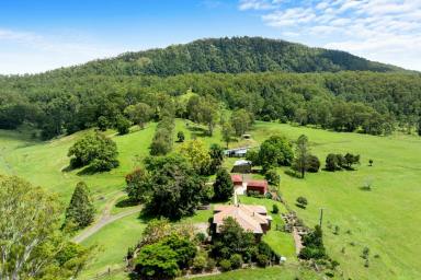 Mixed Farming For Sale - NSW - Kyogle - 2474 - “WINNABURRA” LYNCHS CREEK via KYOGLE NSW (Image 2)