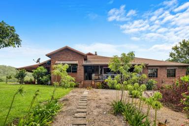 Mixed Farming For Sale - NSW - Kyogle - 2474 - “WINNABURRA” LYNCHS CREEK via KYOGLE NSW  (Image 2)