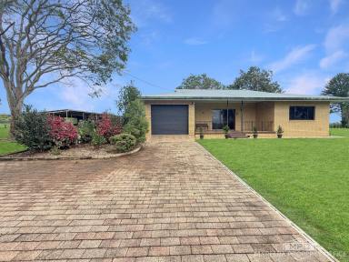 House For Sale - QLD - Paddys Green - 4880 - MODERN LIVING, LIFESTYLE SETTING - 4,875M2  (Image 2)