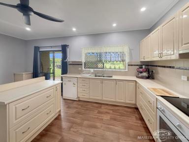 House For Sale - QLD - Paddys Green - 4880 - MODERN LIVING, LIFESTYLE SETTING - 4,875M2  (Image 2)