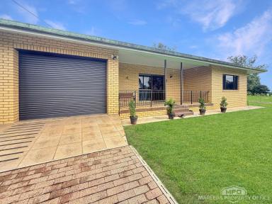 House For Sale - QLD - Paddys Green - 4880 - MODERN LIVING, LIFESTYLE SETTING - 4,875M2  (Image 2)
