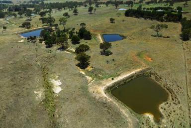 Mixed Farming For Sale - NSW - Parkesbourne - 2580 - Dual Homes on 120 Acres | Perfect Investment or Multi-Family Living  (Image 2)