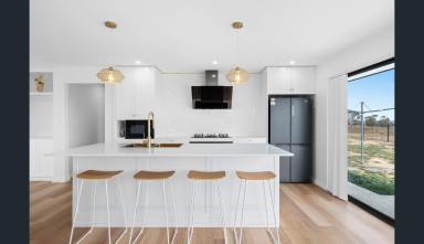 Mixed Farming For Sale - NSW - Parkesbourne - 2580 - 2 Houses, 120 acres, Beautiful, Rolling Hills, Cleared, Views, Dams, Zoned RU1  (Image 2)